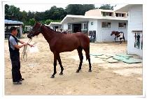 ������ (MANPOKDONG) ����