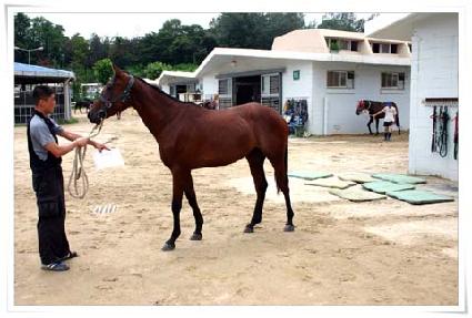 ������ ����