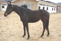 �����ѿ��� (CHALLANHAN NYEOKSA) ����