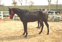 �¸�õ�� (SEUNGNI CHEONGUK) ����