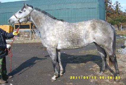 ���� ����