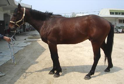 ����� ����