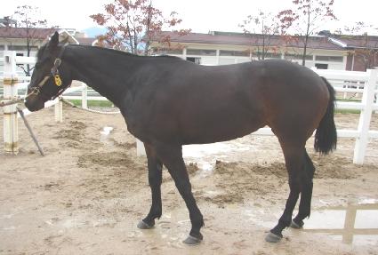 ��Ƽ��Ÿ ����