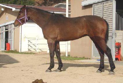 �߿���� ����