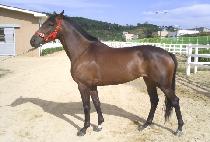 SEONGBUL SAEMI picture