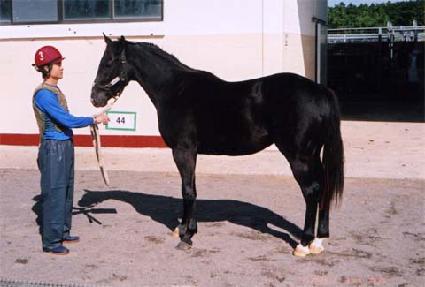 ������ȭ ����