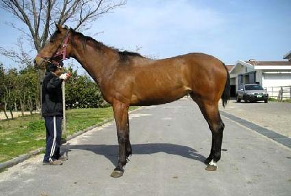 ������ ����