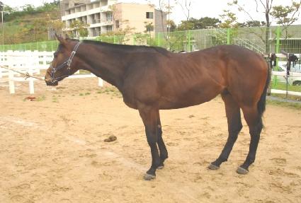 ū�߸� ����