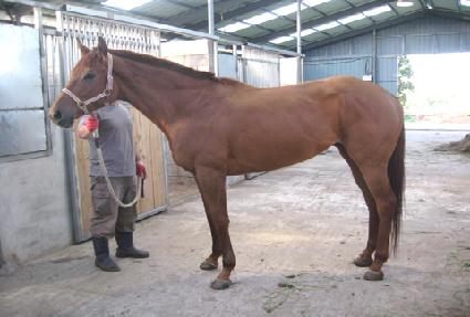 ����ī�� ����