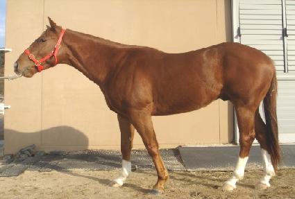 ��ÿ������ ����