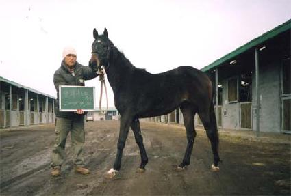 ���� ����