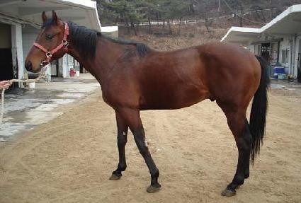 �ְ��Ǽ��� ����