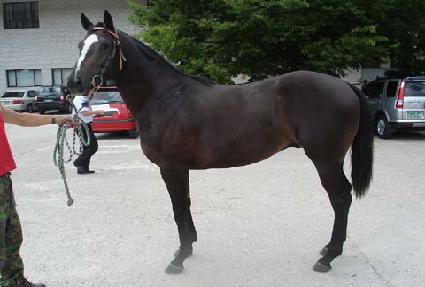 �޸������ ����