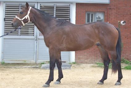 �Ҹ������� ����