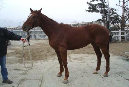 �и��𿡾� ����