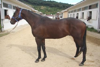 ������ ����