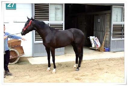 ������ȭ ����