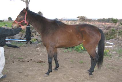 ���н� ����