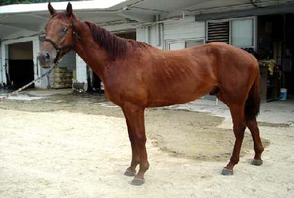 ��õ ����