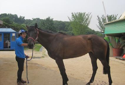 �ݵ忣�� ����