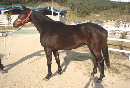 ���ߺ��� ����