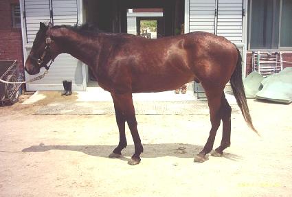 ��±ݰ� ����