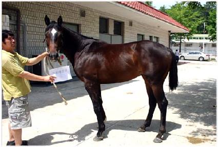 �����йи� ����