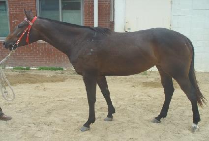 Ȱ�� ����