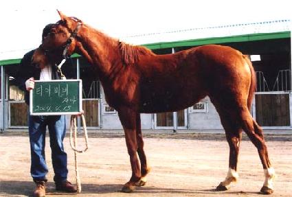 �¾��ǲ� ����