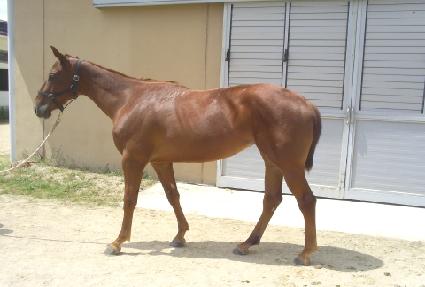 ǳ����ȸ ����