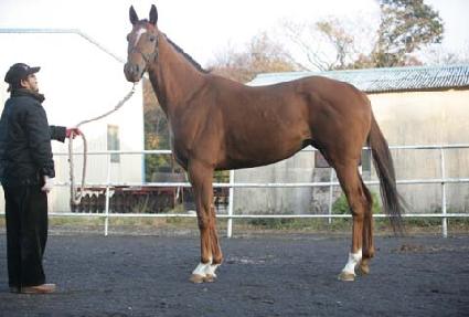 �����ô� ����