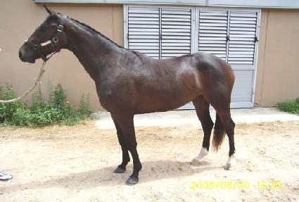 õ���� ����