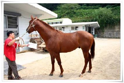 �Ѷ󿵿� ����