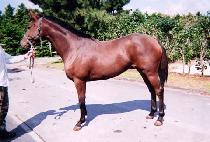 ���ֻ꼺 (NAJUSANSEONG) ����