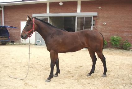 ��õ�� ����