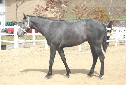 �ö��̽��� ����