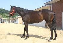 ������������ (YEOREOBUNUI CHUKJE) ����