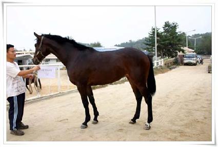 �����Ͼ� ����