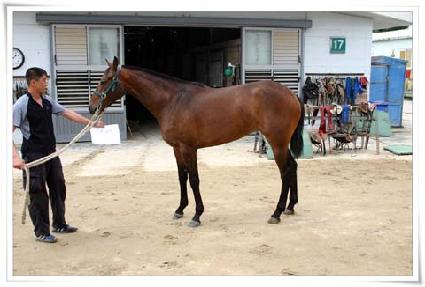 ���ĳ��� ����