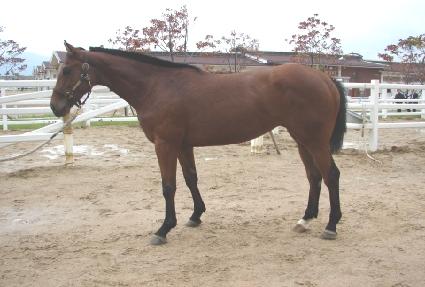 ŵ����� ����