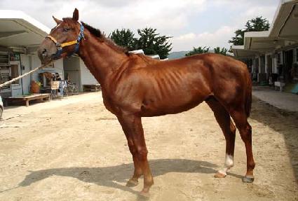 ����Ƽ���� ����