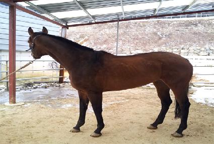 �ִ�ī�� ����