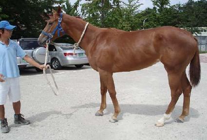 ���Ǽ��� ����