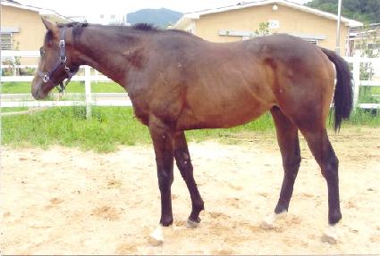 �屺��ȭ ����