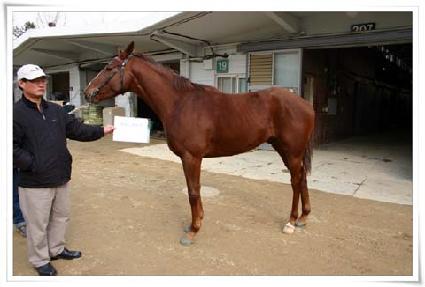 ���ϵ�è�Ǿ� ����