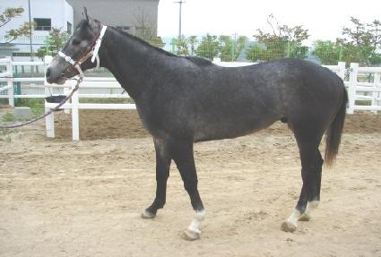 �ż��� ����