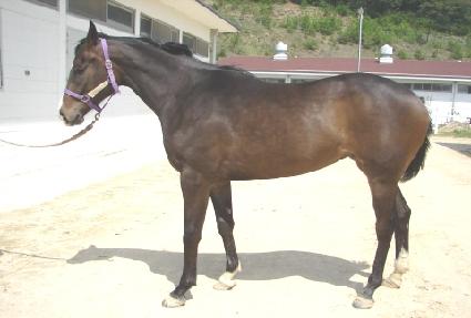 �λ����� ����