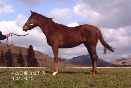 ������ ����