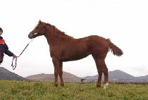 �ƿ����� (OUR LOVE) ����