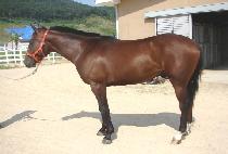 õ���� (CHEONSANG SAGYE) ����